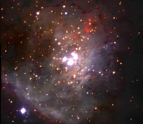 Free-Floating Planets In Orion