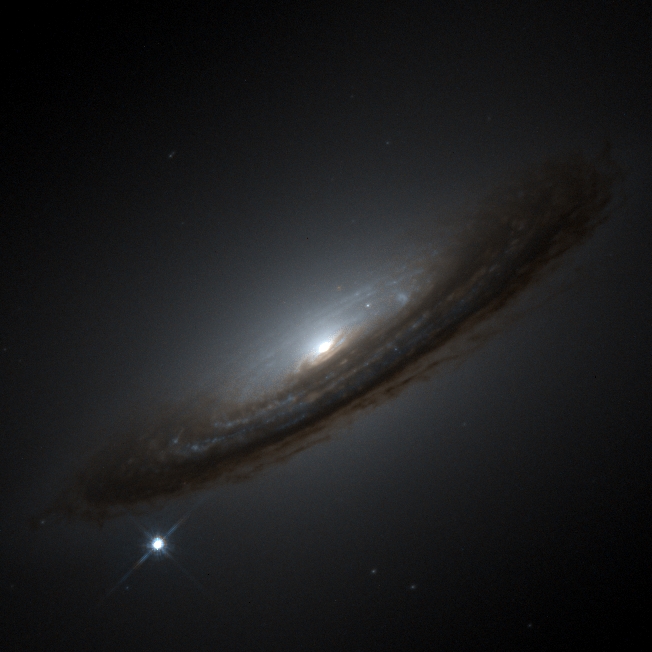 Supernova 1994D and the Unexpected Universe