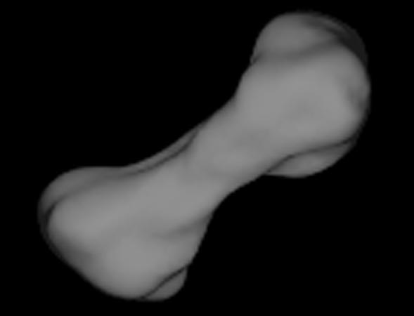 Dog-Bone Shaped Asteroid 216 Kleopatra