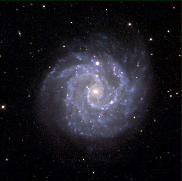 Gangly Spiral Galaxy NGC 3184