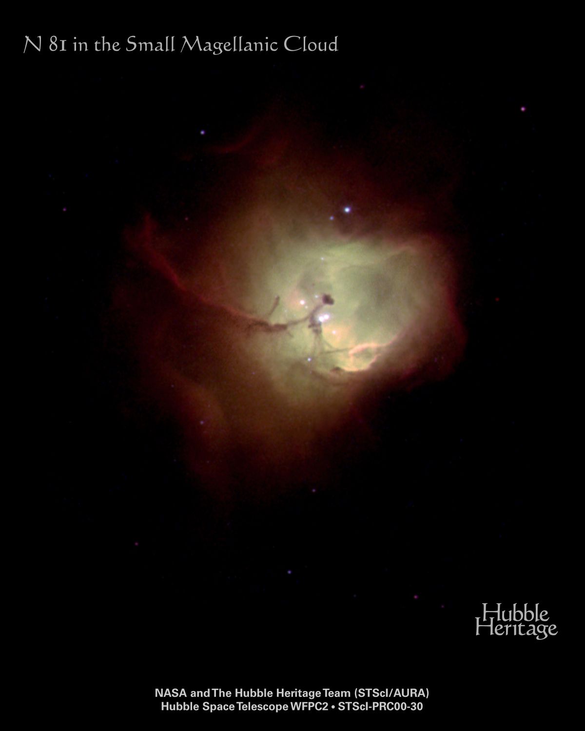 N81: Star Cradle in the SMC
