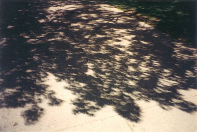 The Eclipse Tree