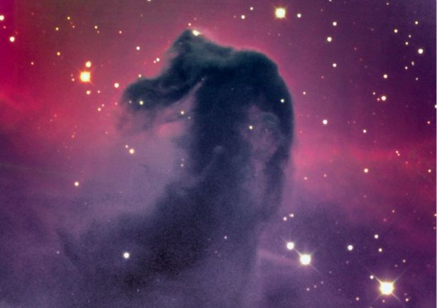 The Dark Horsehead Nebula