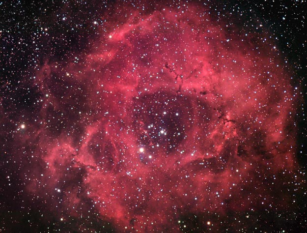 The Rosette Nebula