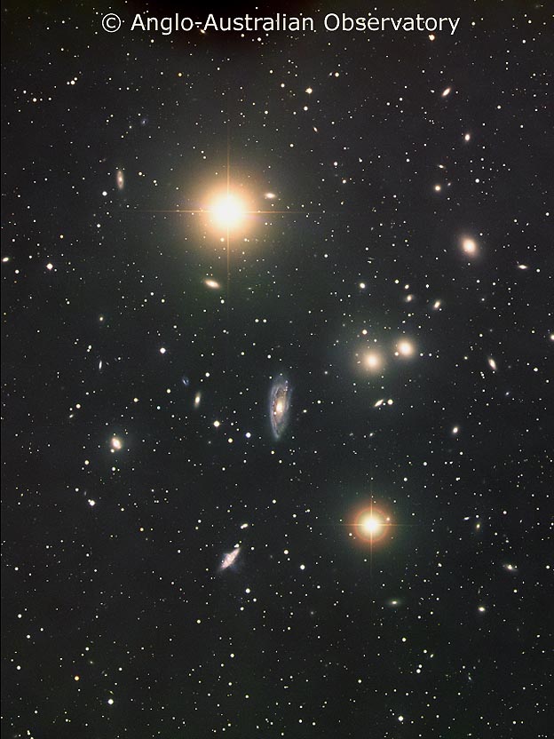 The Hydra Cluster of Galaxies