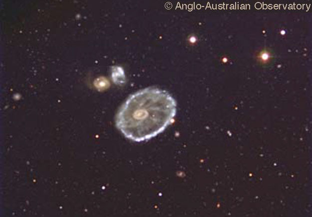 The Cartwheel Galaxy