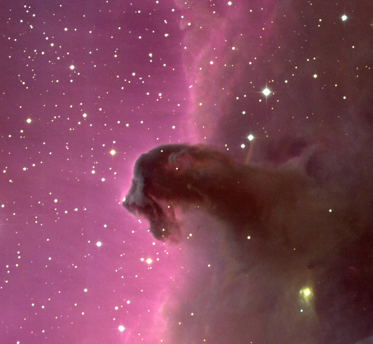 The Horsehead Nebula