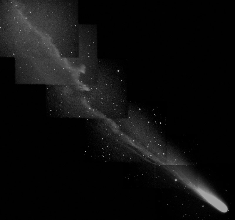 Comet Ikeya-Zhang's Busy Tail