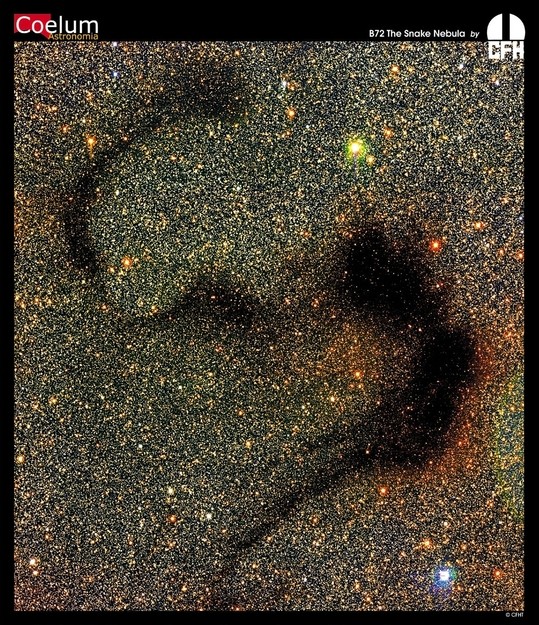 The Snake Nebula from CFHT