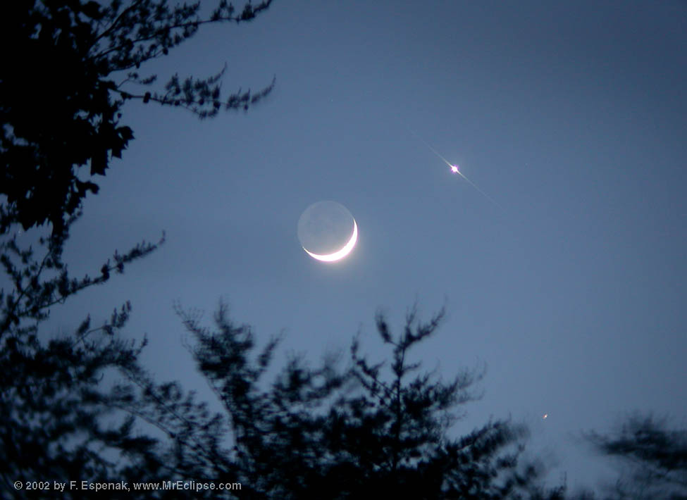 Love and War by Moonlight