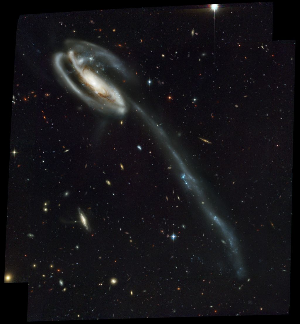 Arp 188 and the Tadpole's Tidal Tail