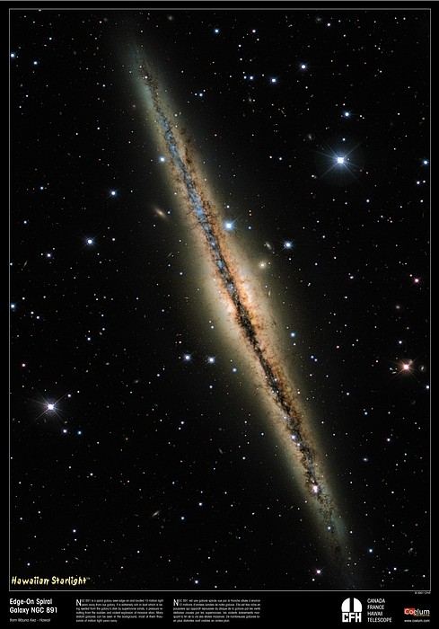 Interstellar Dust Bunnies of NGC 891