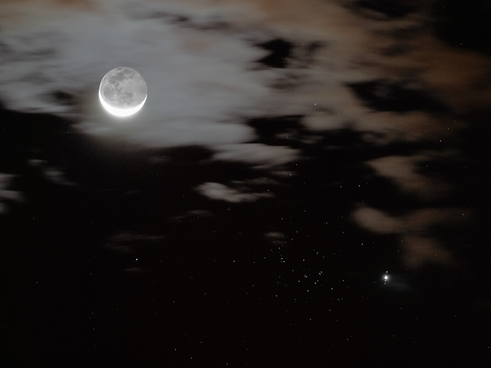 Jupiter, Moons and Bees