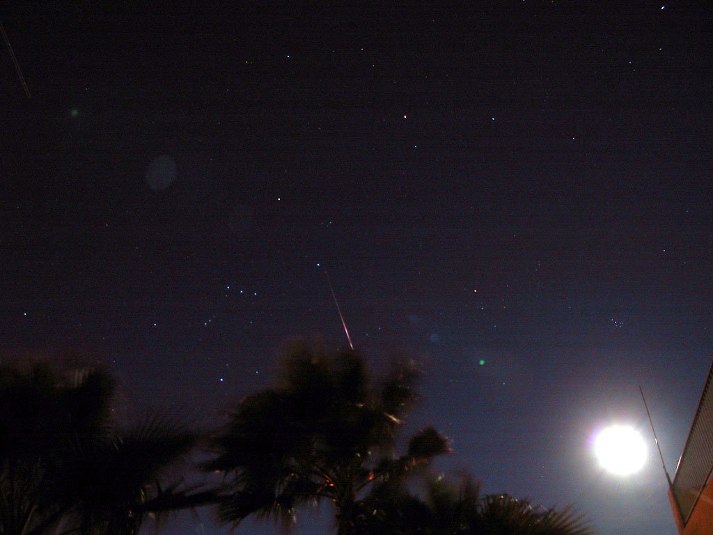 Leonids vs. The Moon