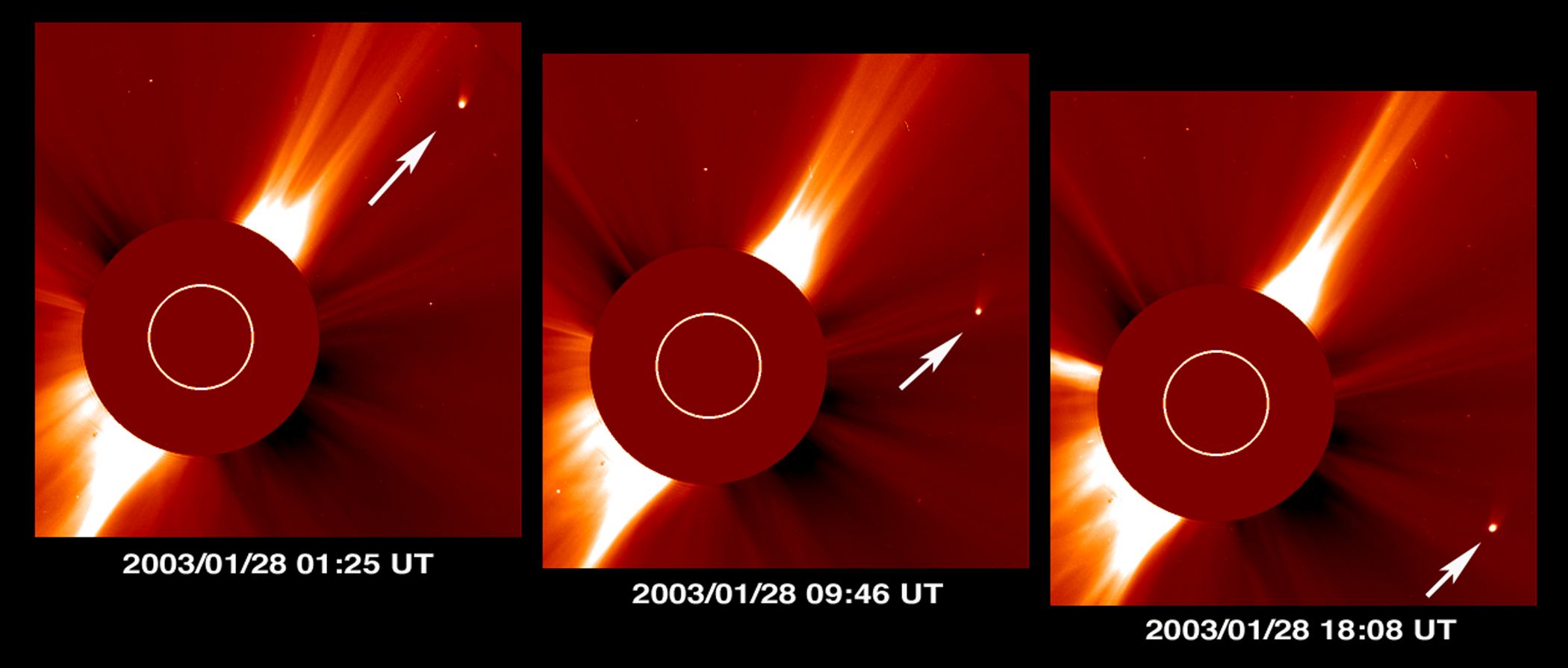 Comet Kudo-Fujikawa: Days in the Sun