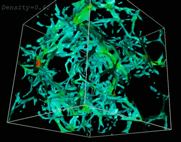 The Lyman Alpha Forest