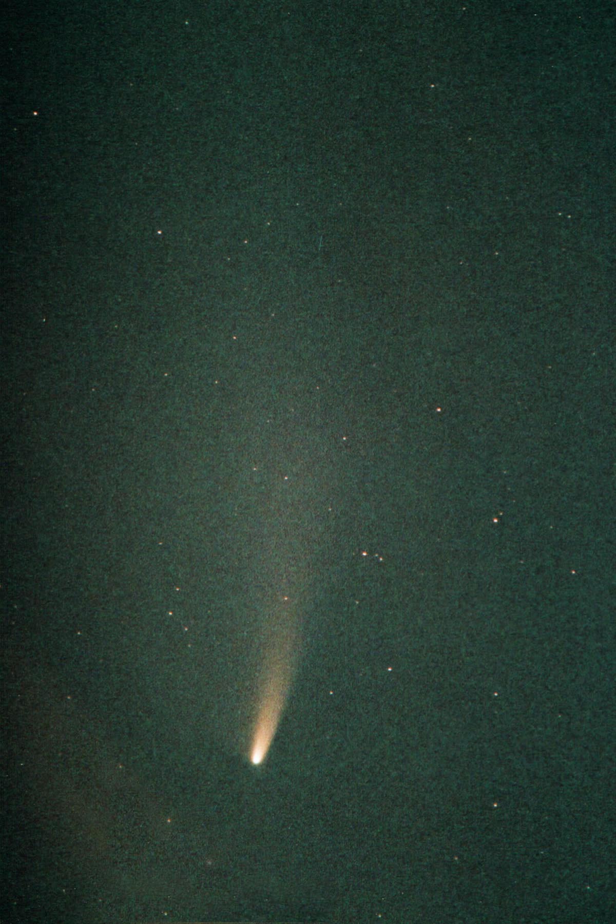 Comet NEAT in Southern Skies