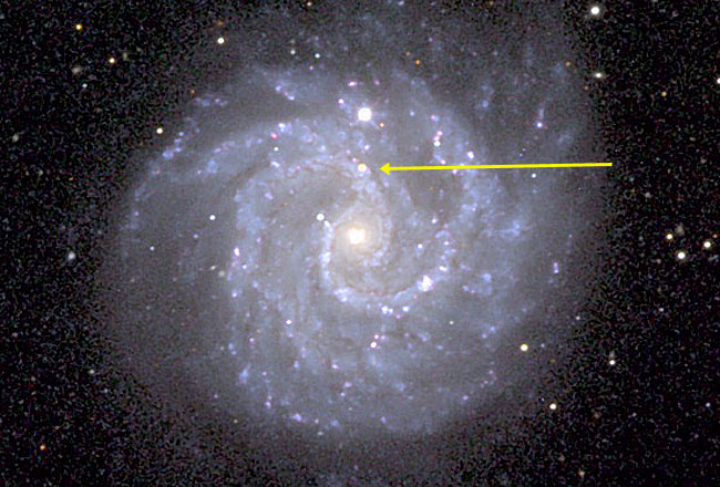 A Gamma Ray Burst - Supernova Connection