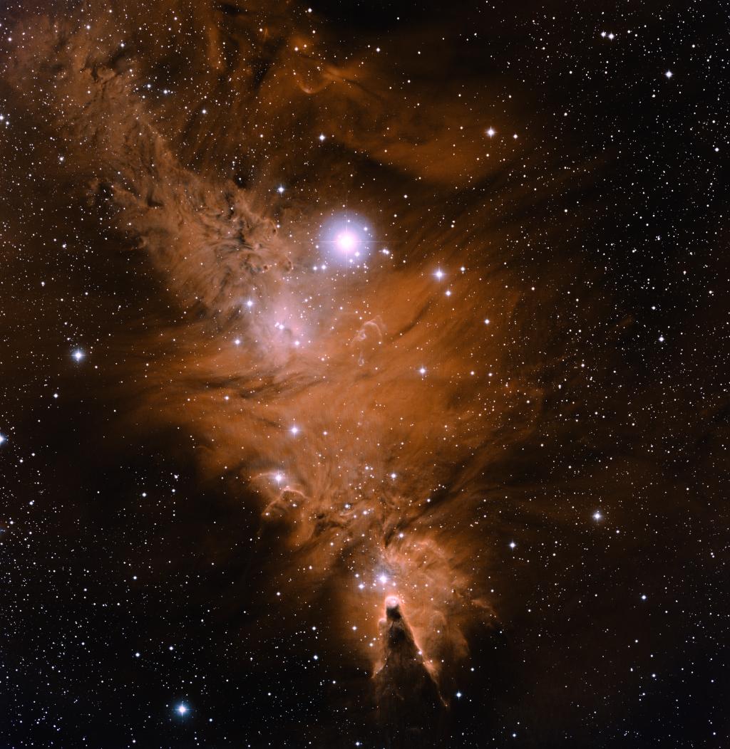 In the Vicinity of the Cone Nebula