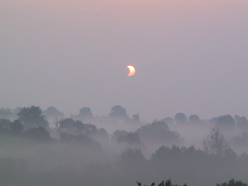 Eclipse in the Mist