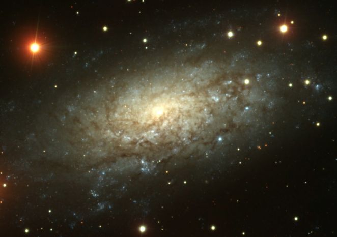 NGC 3621: Far Beyond the Local Group
