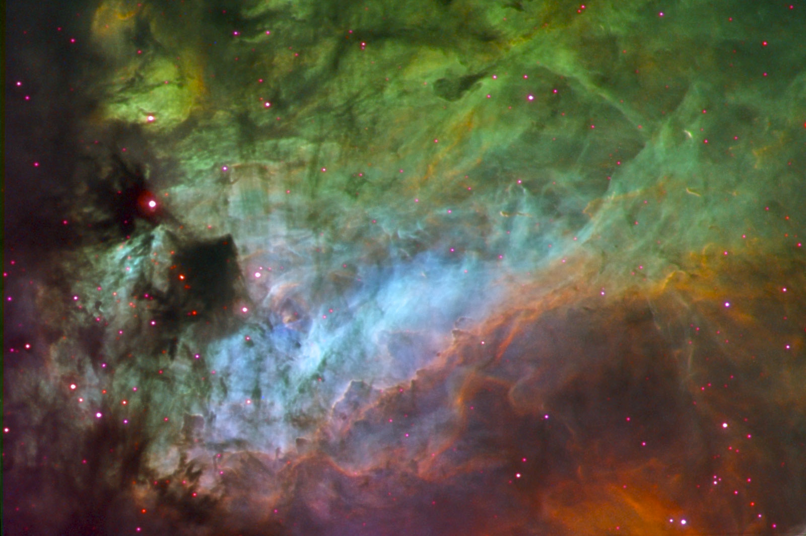 Elements of the Swan Nebula