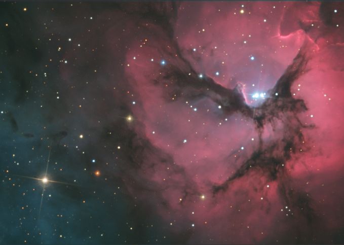A Beautiful Trifid
