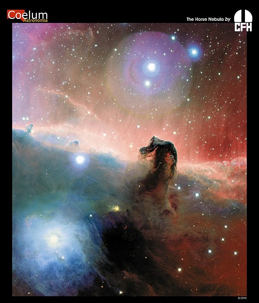 The Colorful Horsehead Nebula