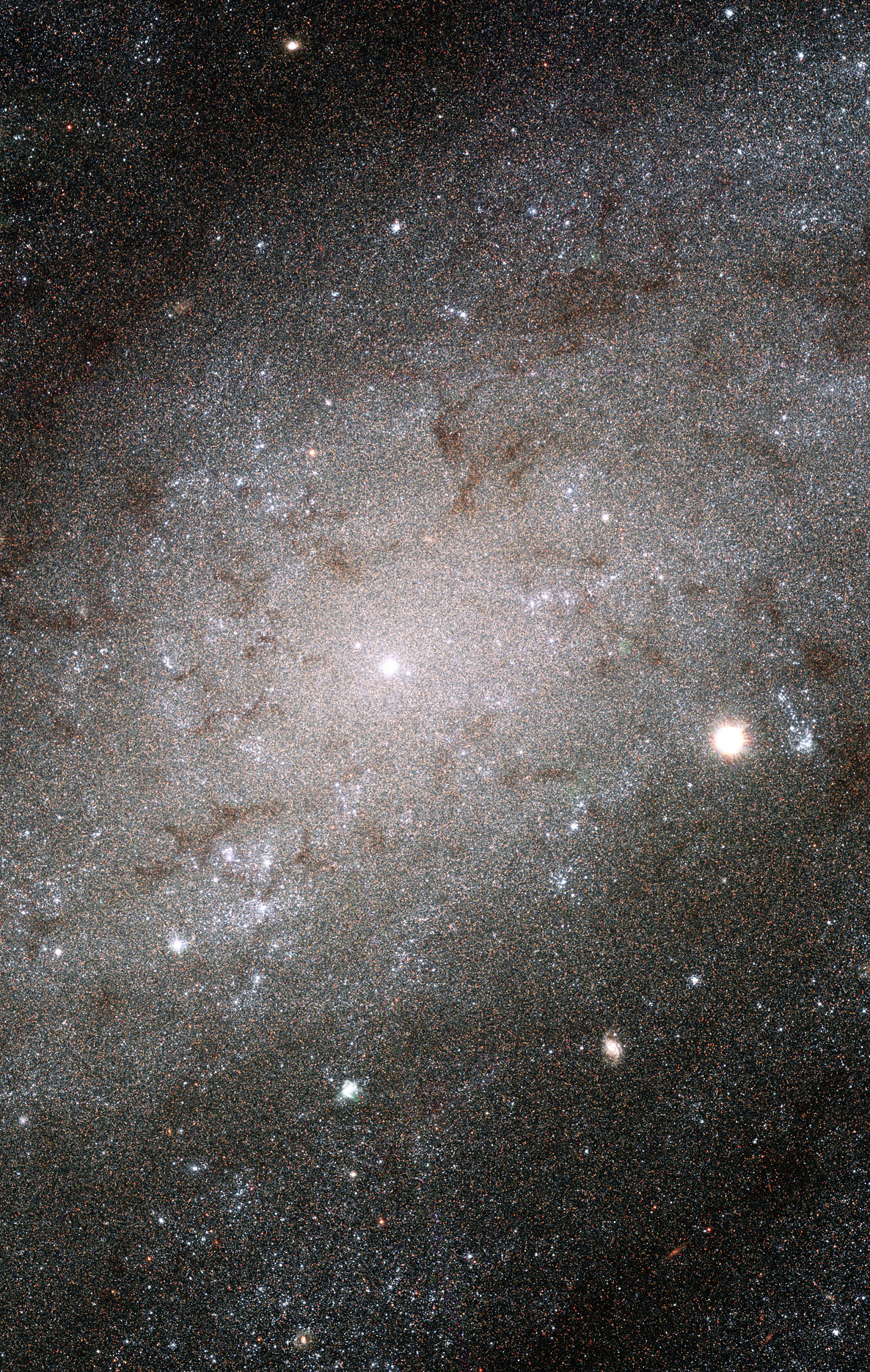 The Stars of NGC 300