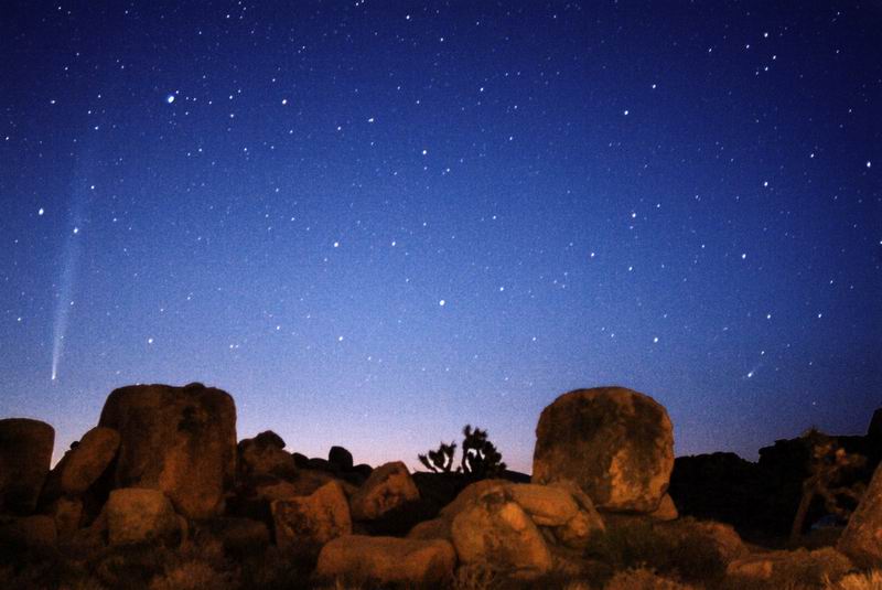 Comets Bradfield and LINEAR Rising