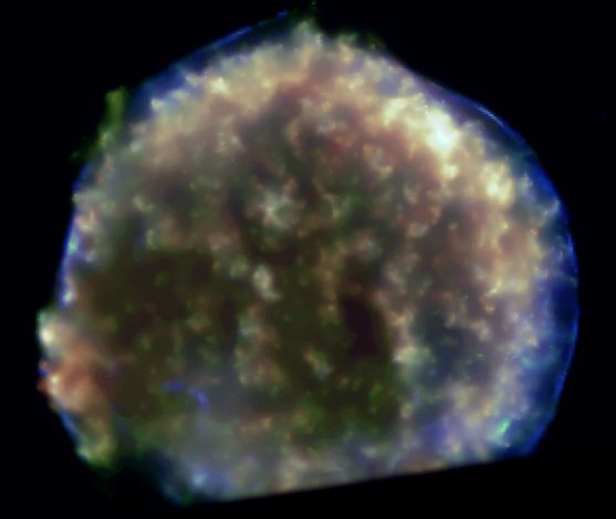 X-Rays From Tycho's Supernova Remnant
