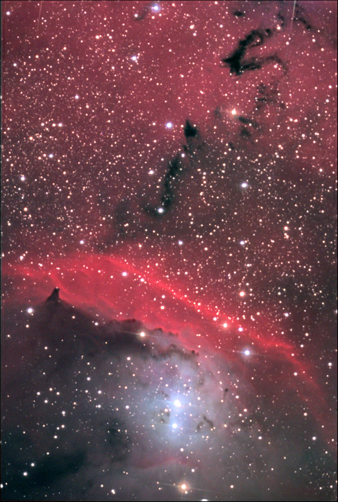 In the Center of NGC 6559