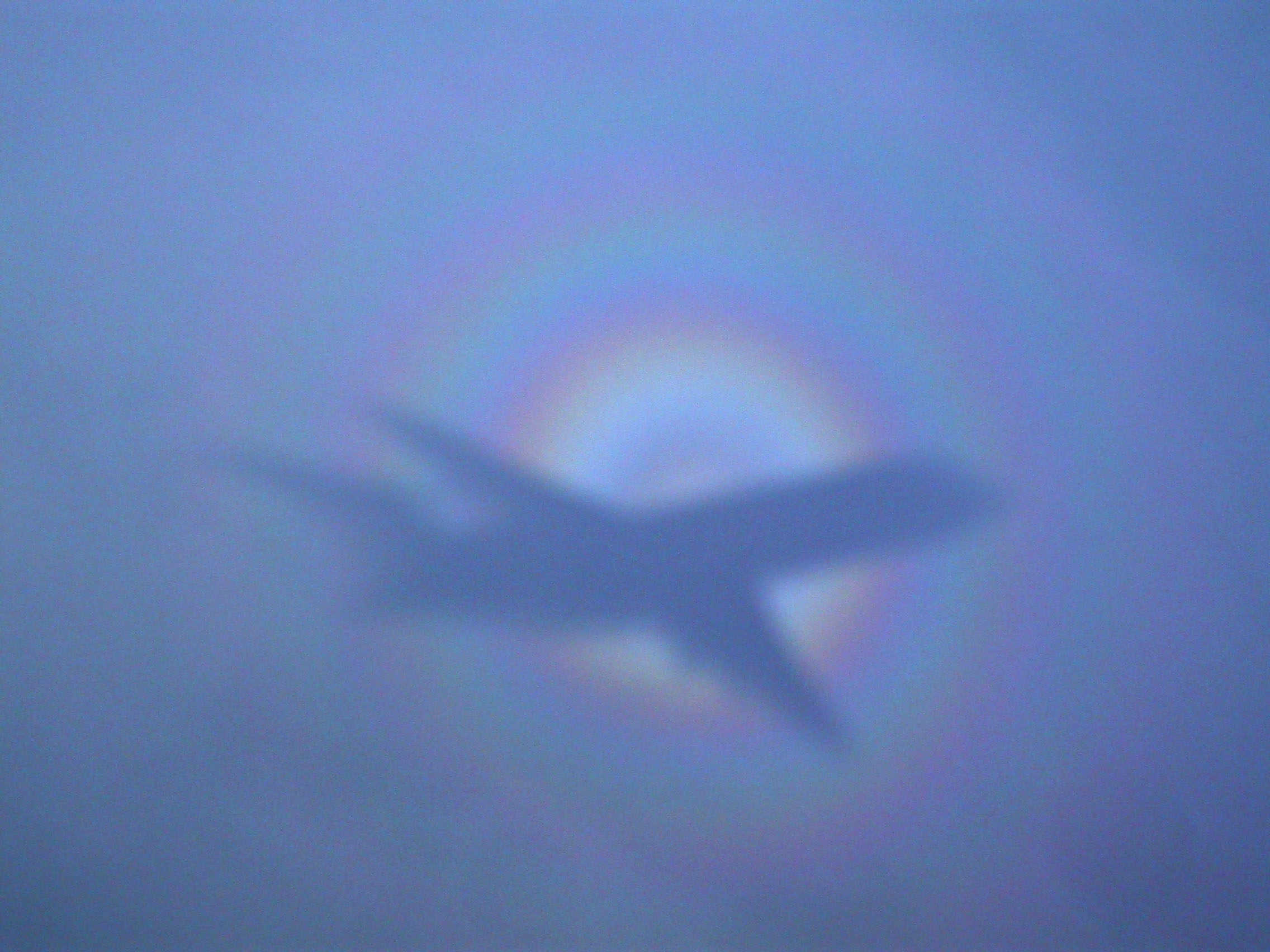 The Giant and the Glory