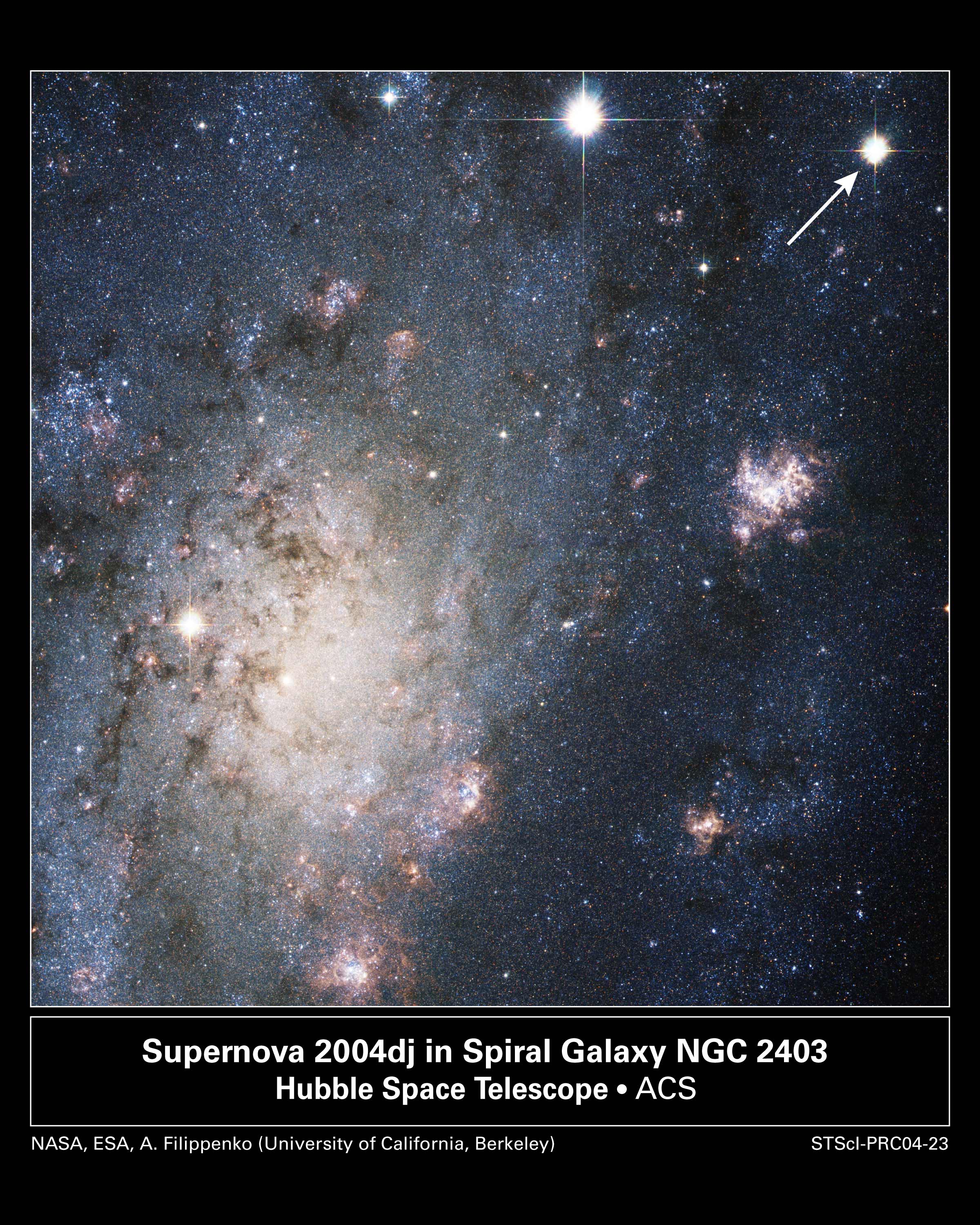 A Supernova in Nearby Galaxy NGC 2403