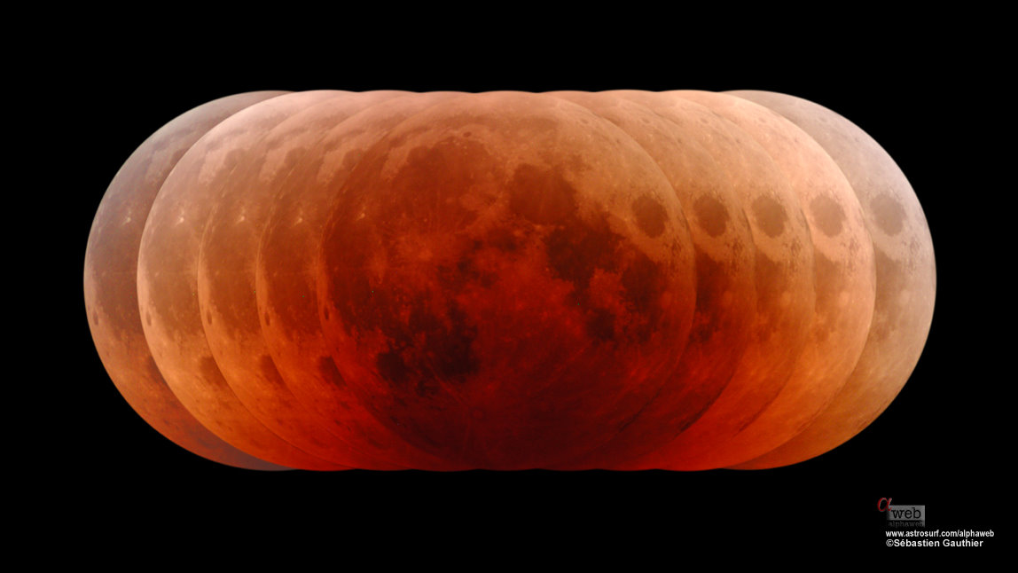 Pumpkin Moon