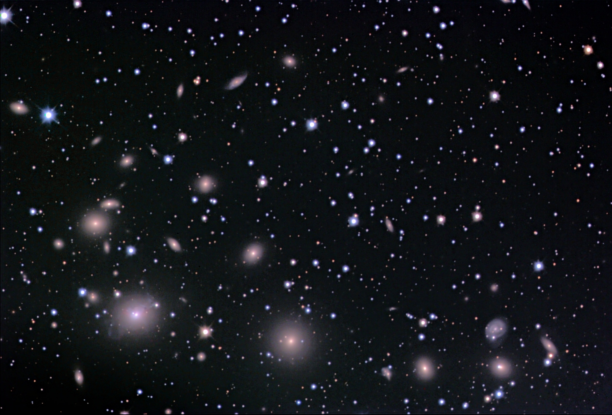 The Perseus Cluster of Galaxies