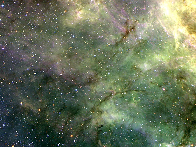 Tentacles of the Tarantula Nebula