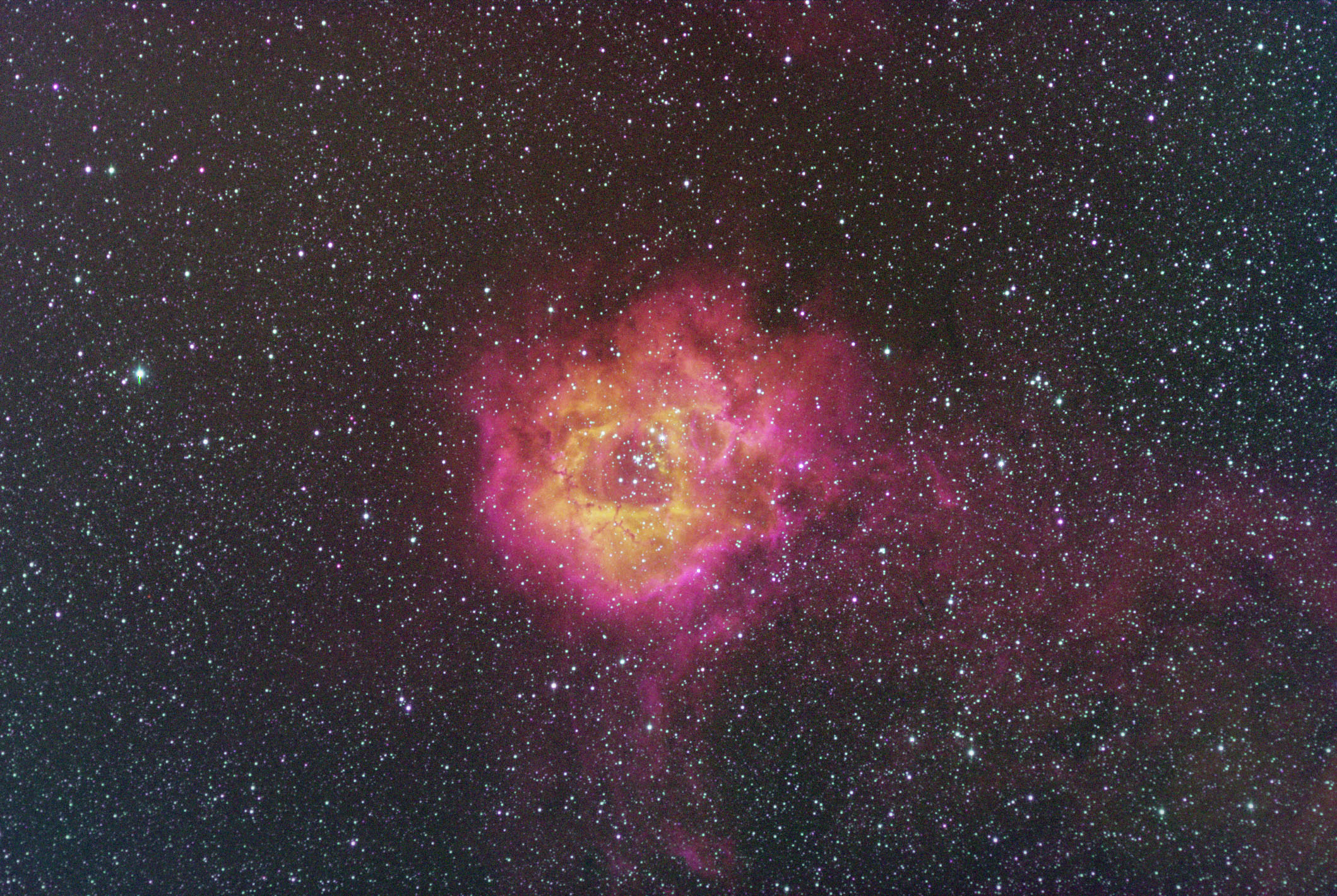 The Rosette Nebula