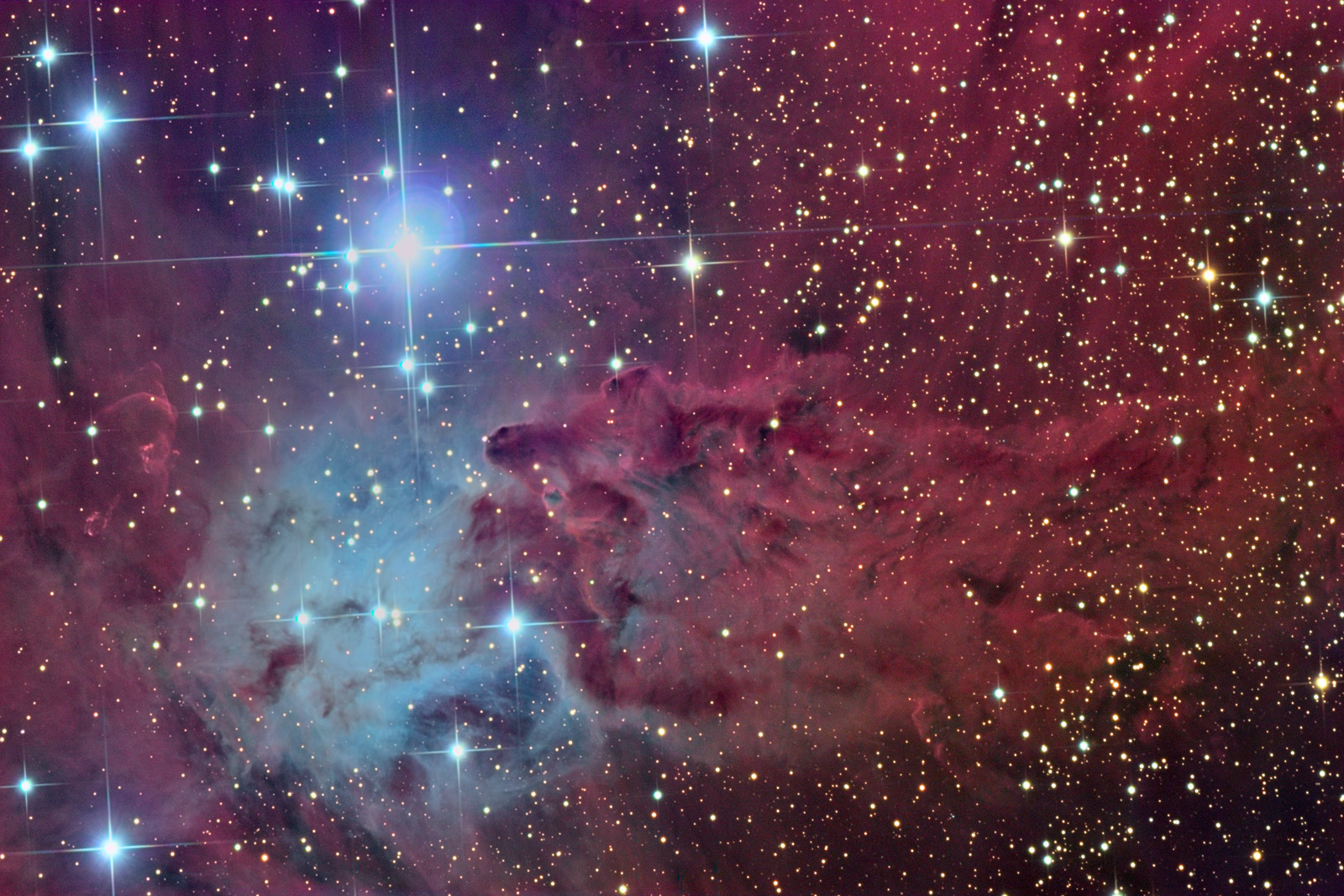 The Fox Fur Nebula
