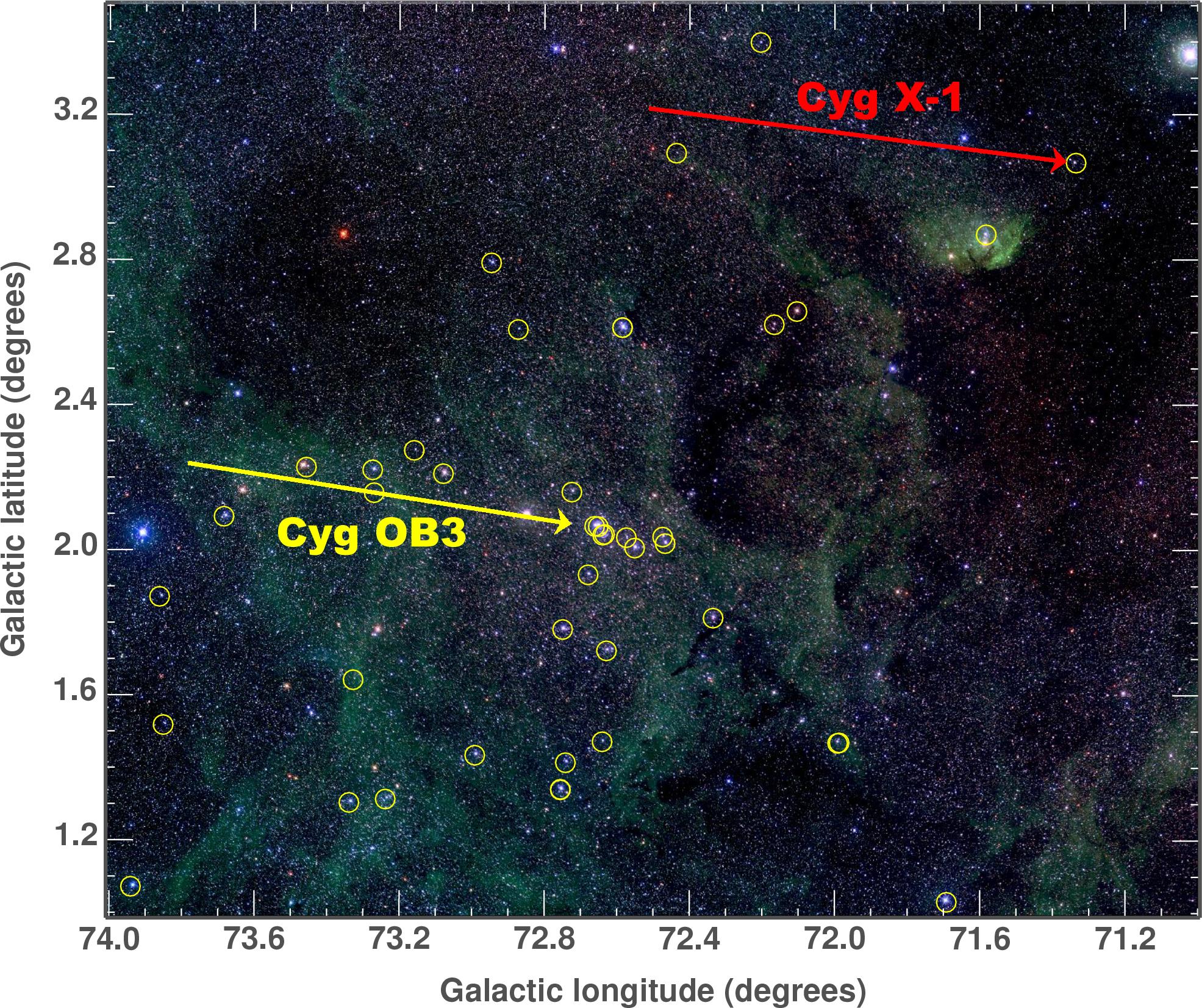 Cyg X-1: Can Black Holes Form in the Dark?