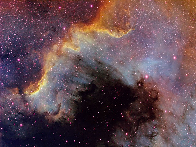 The Cygnus Wall of Star Formation