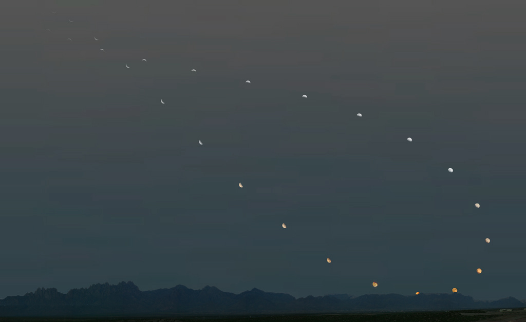 Analemma of the Moon