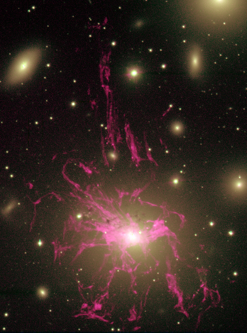 Unusual Gas Filaments Surround Galaxy NGC 1275