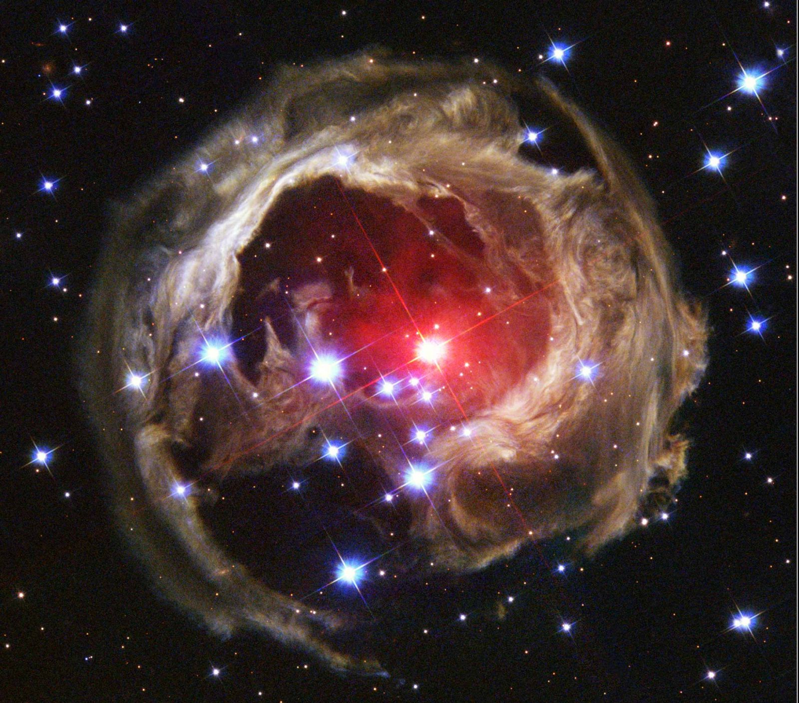 Light Echoes from V838 Mon