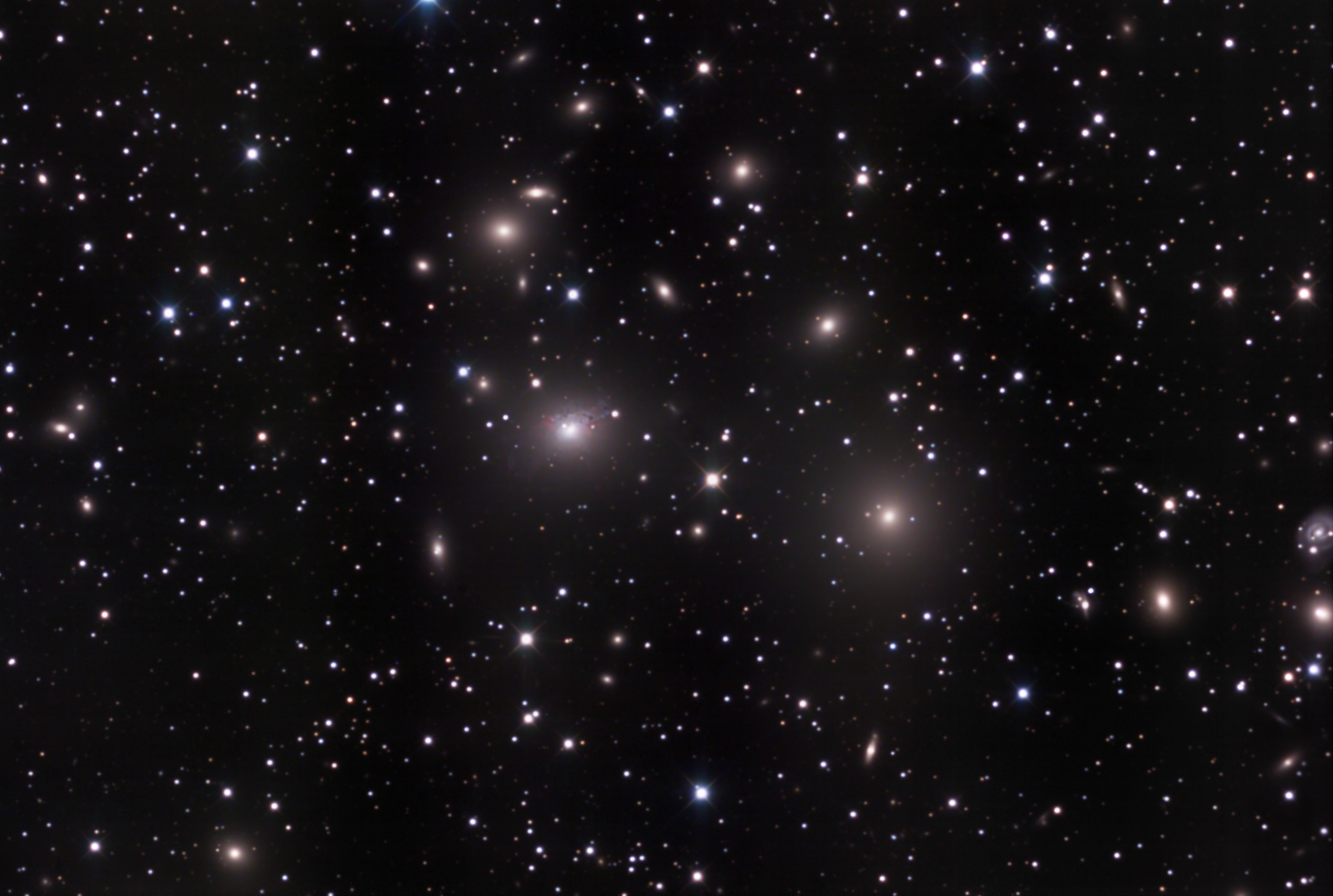 The Perseus Cluster of Galaxies