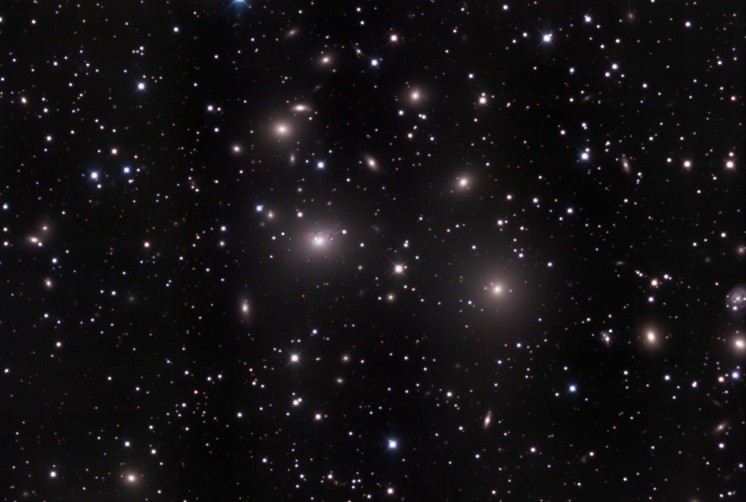 The Perseus Cluster of Galaxies