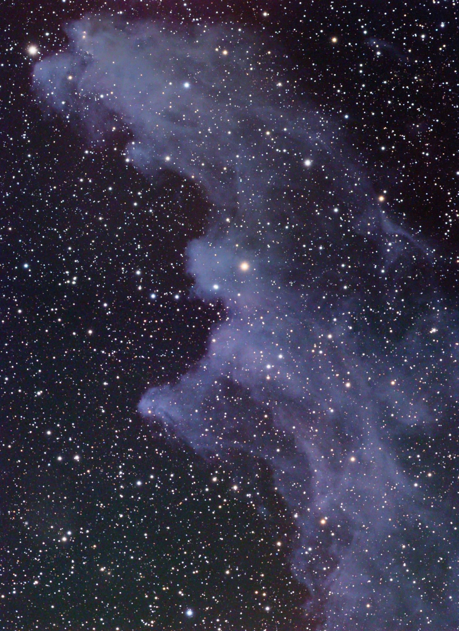 IC 2118: The Witch Head Nebula