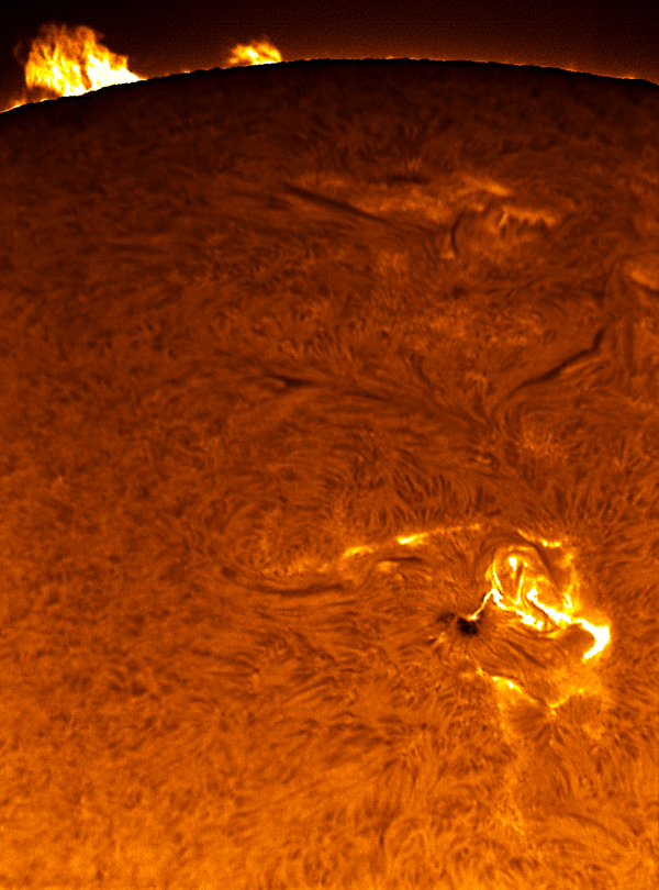 Sunspot 875 Flares
