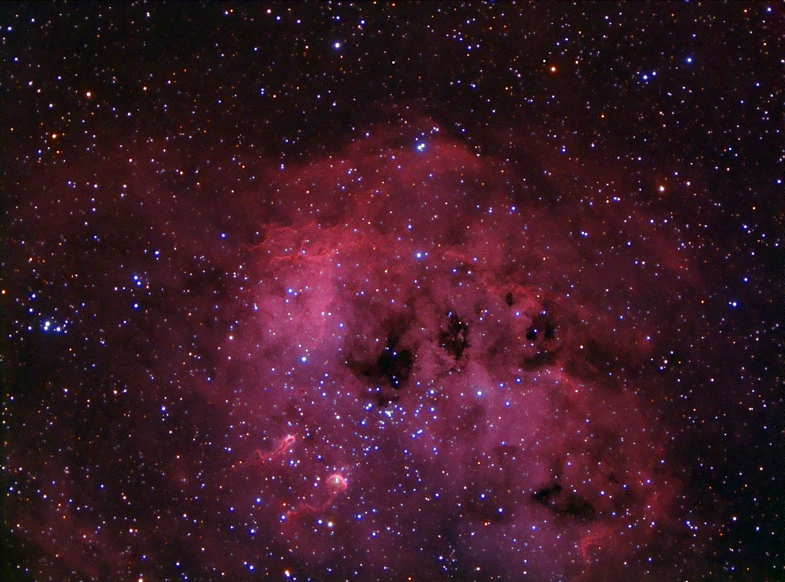 IC 410 and NGC 1893