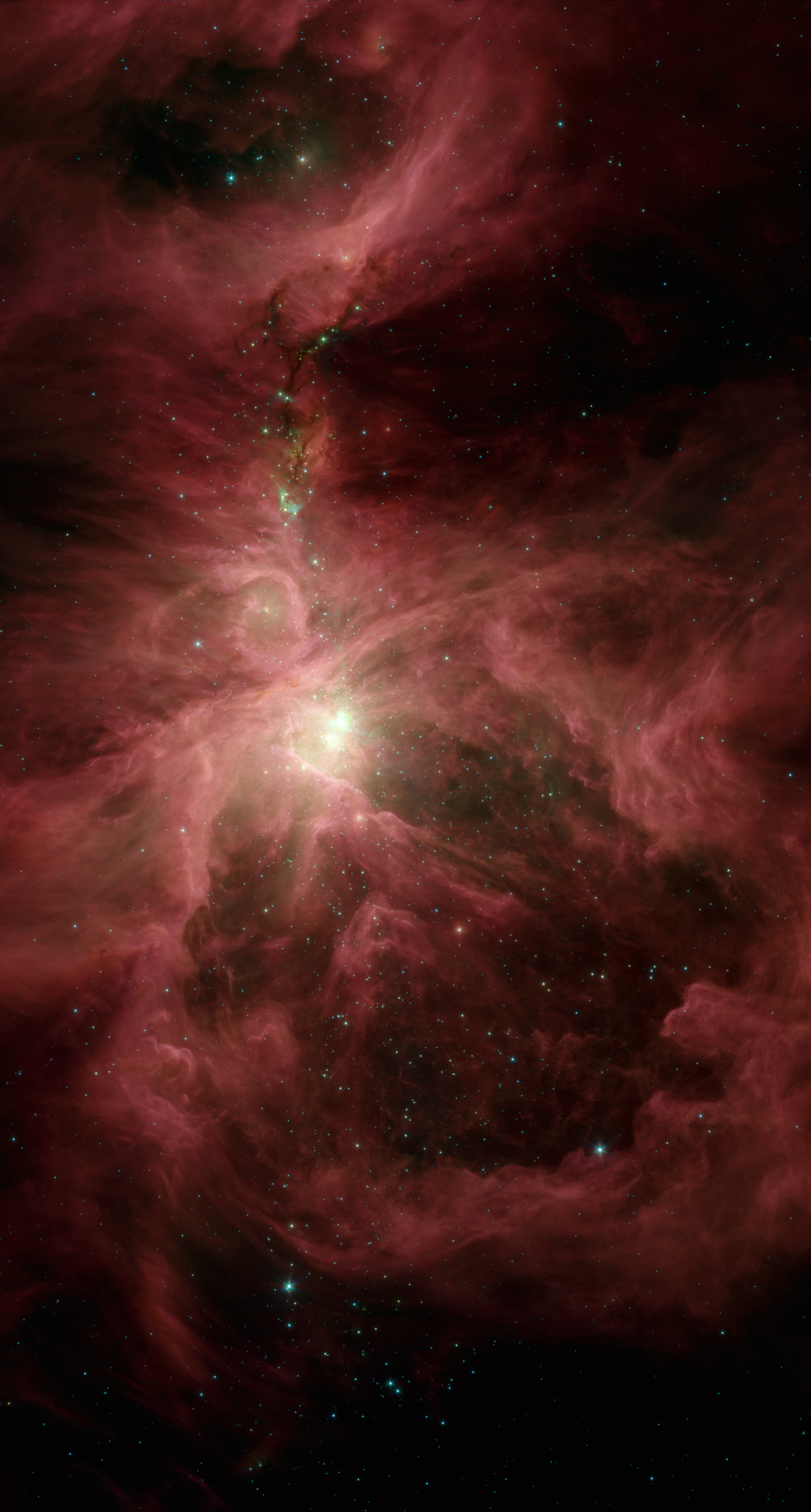 Spitzer's Orion